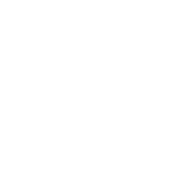 Type Animation